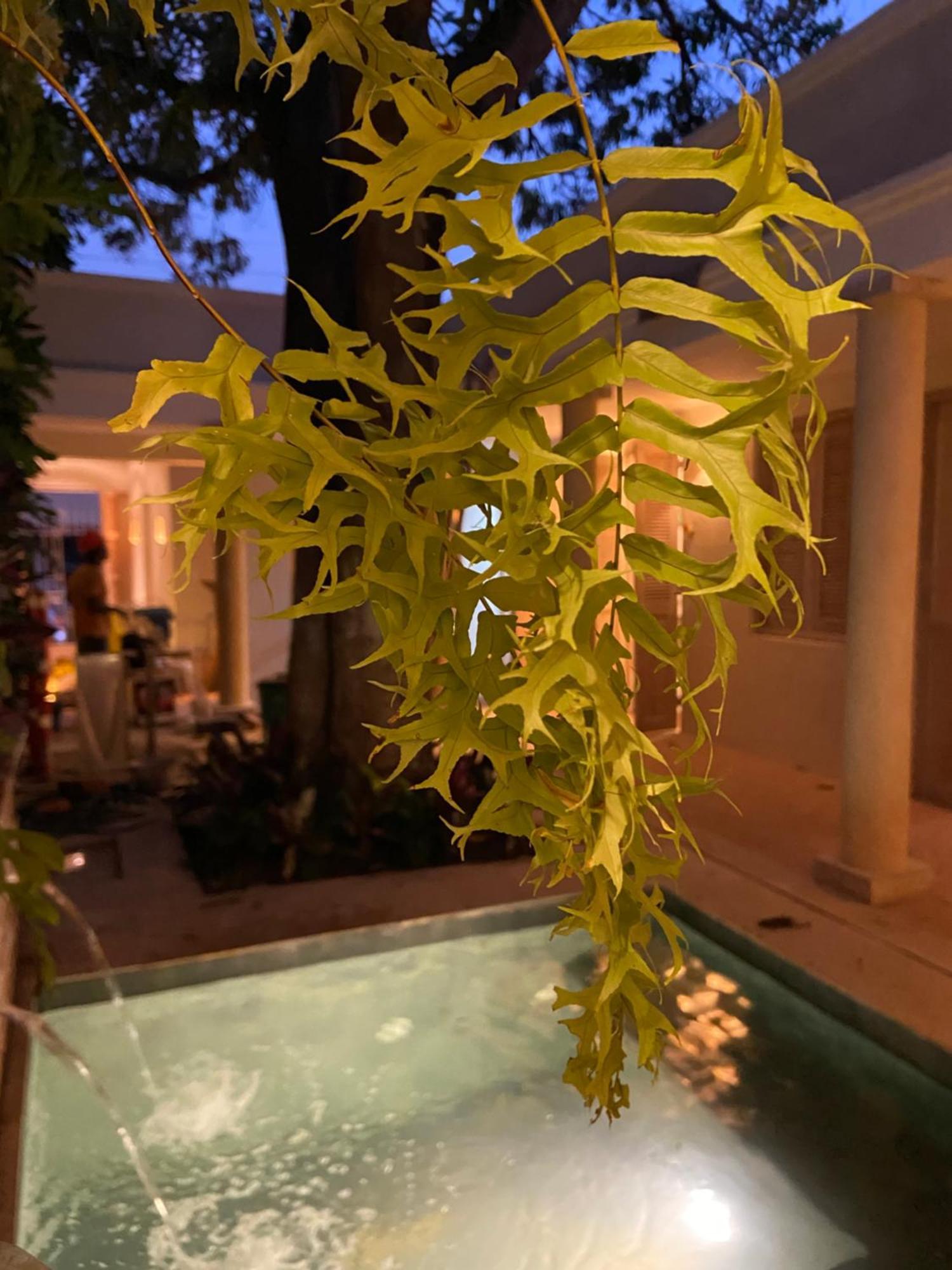 Casa Jaguar Boutique Hotel